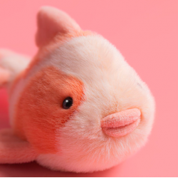 jellycat fancy fish